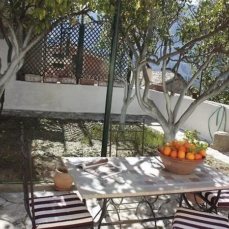 Apartment Conti *