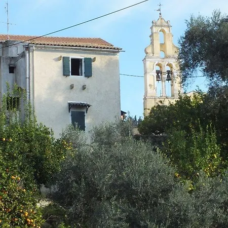 Apartment Conti *